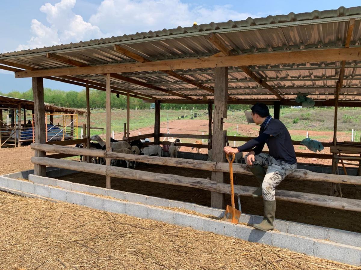 Ban Nong Tum ฟาร์มแกะภูกระดึง Waraporn Valley מראה חיצוני תמונה